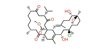 Ximaolide C